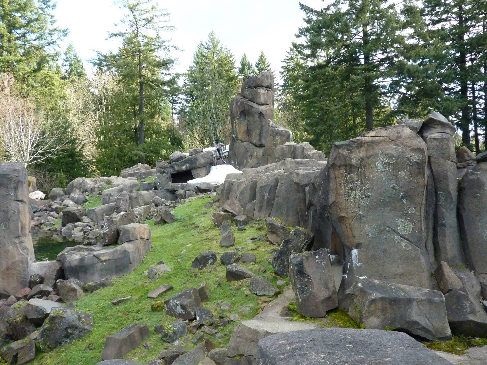 Rocky Mountain Goat Exhibit