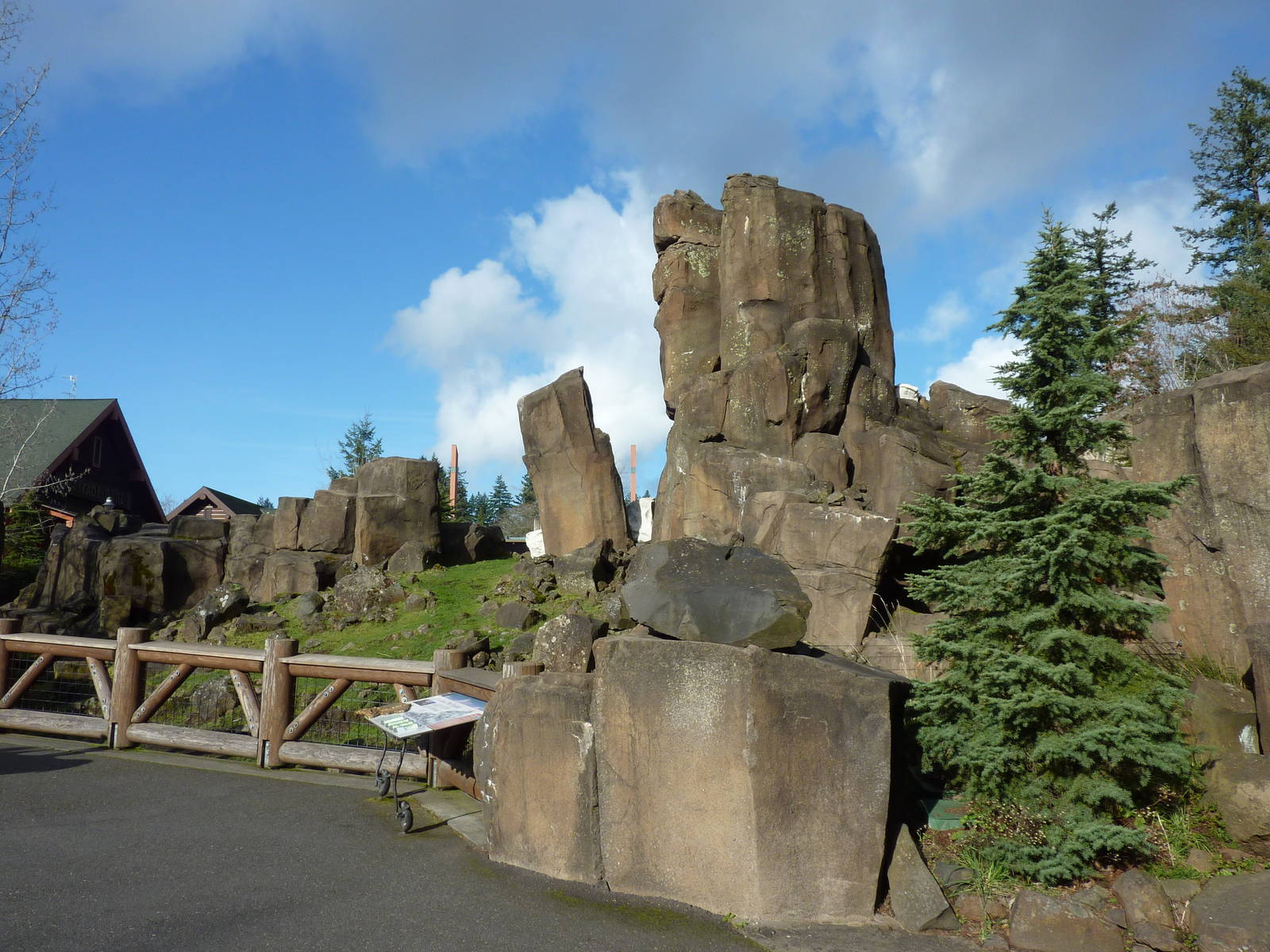 Rocky Mountain Goat Exhibit