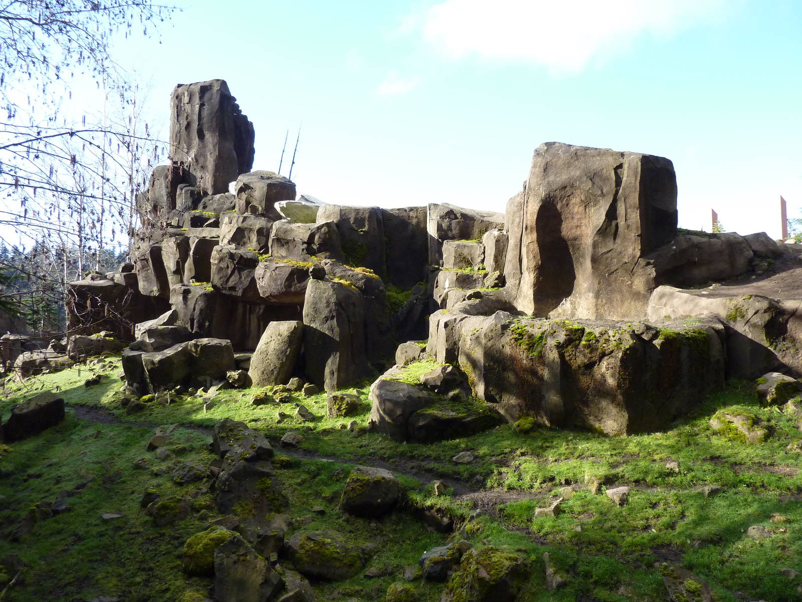 Rocky Mountain Goat Exhibit