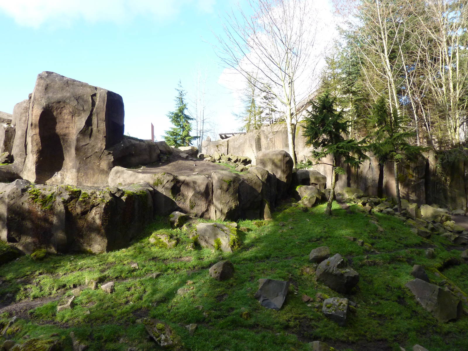 Rocky Mountain Goat Exhibit