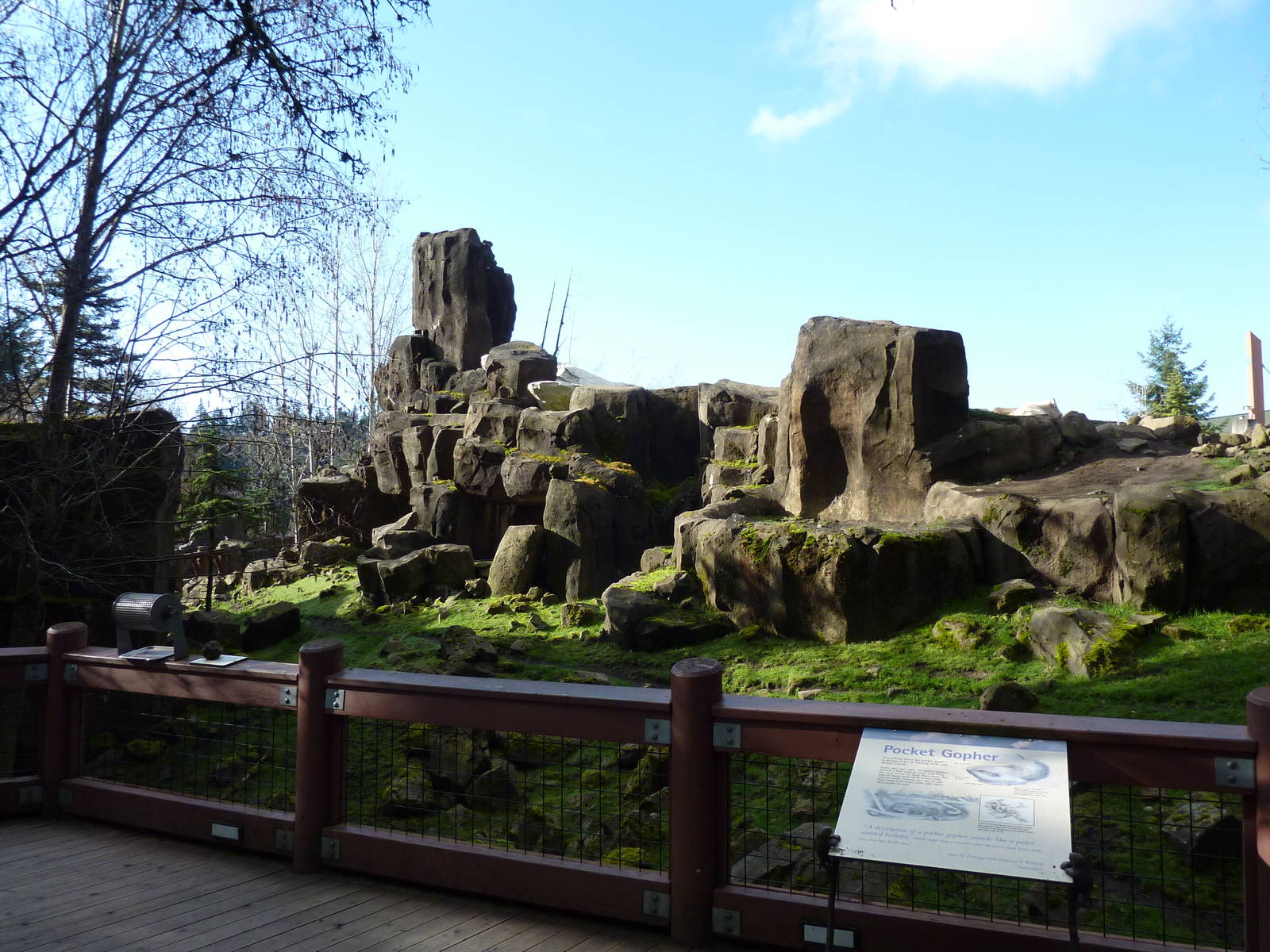 Rocky Mountain Goat Exhibit
