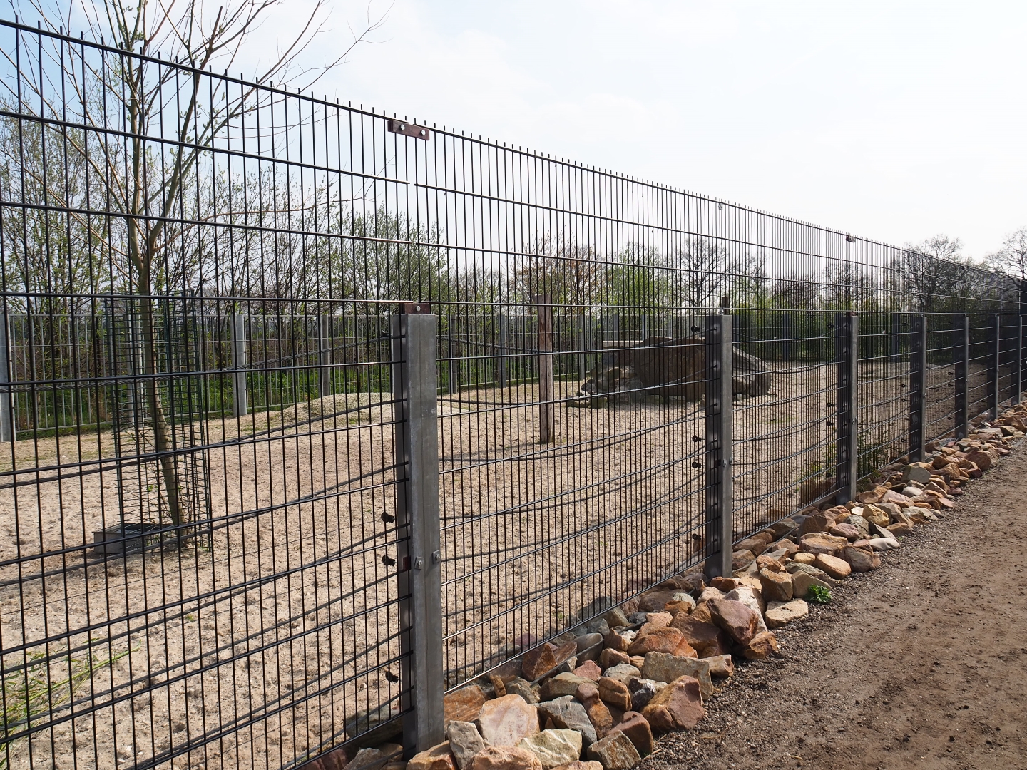 Rocky Mountain goat paddock, 2019-04-06