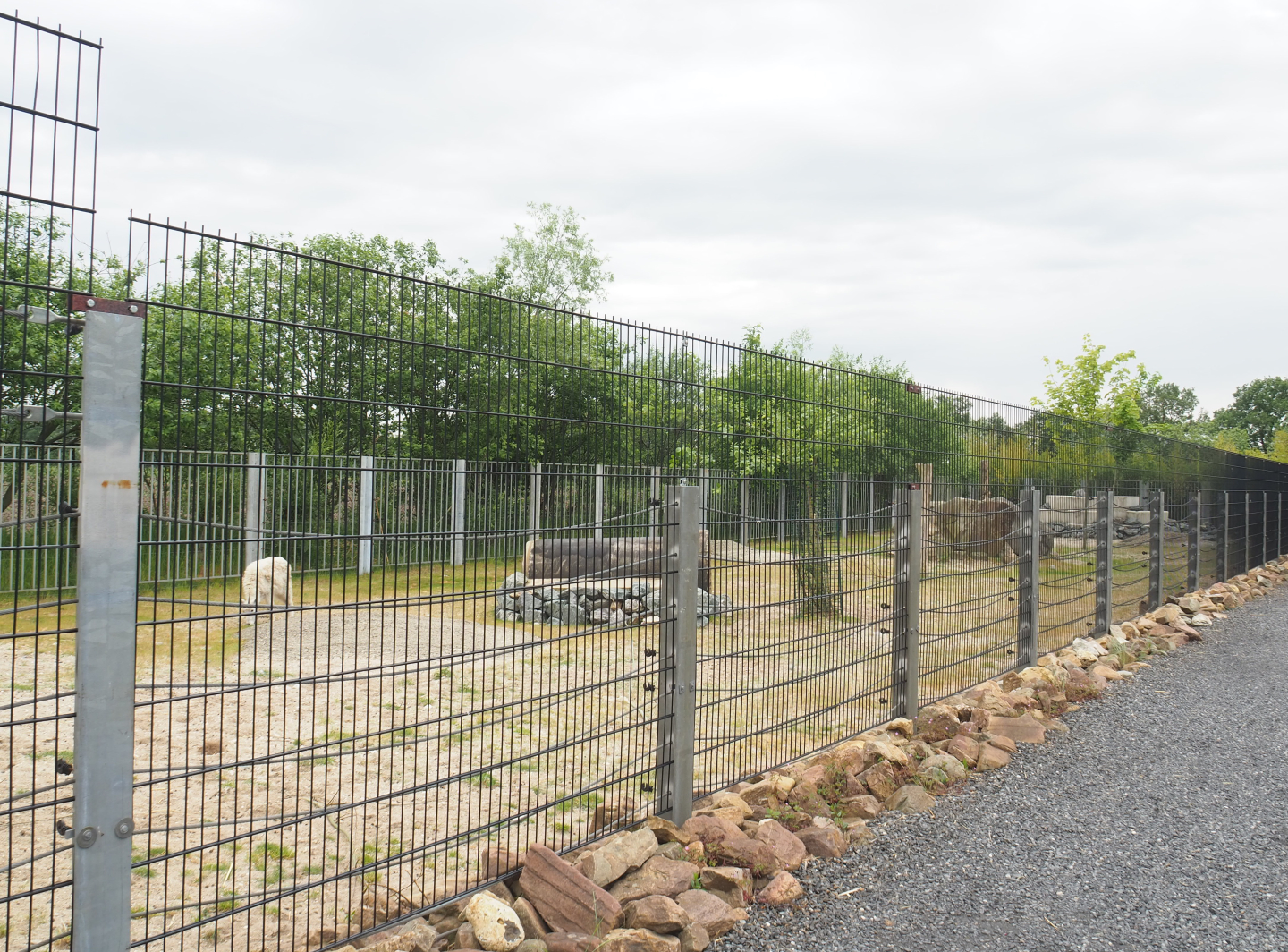 Rocky Mountain goat paddock, 2022-05-17