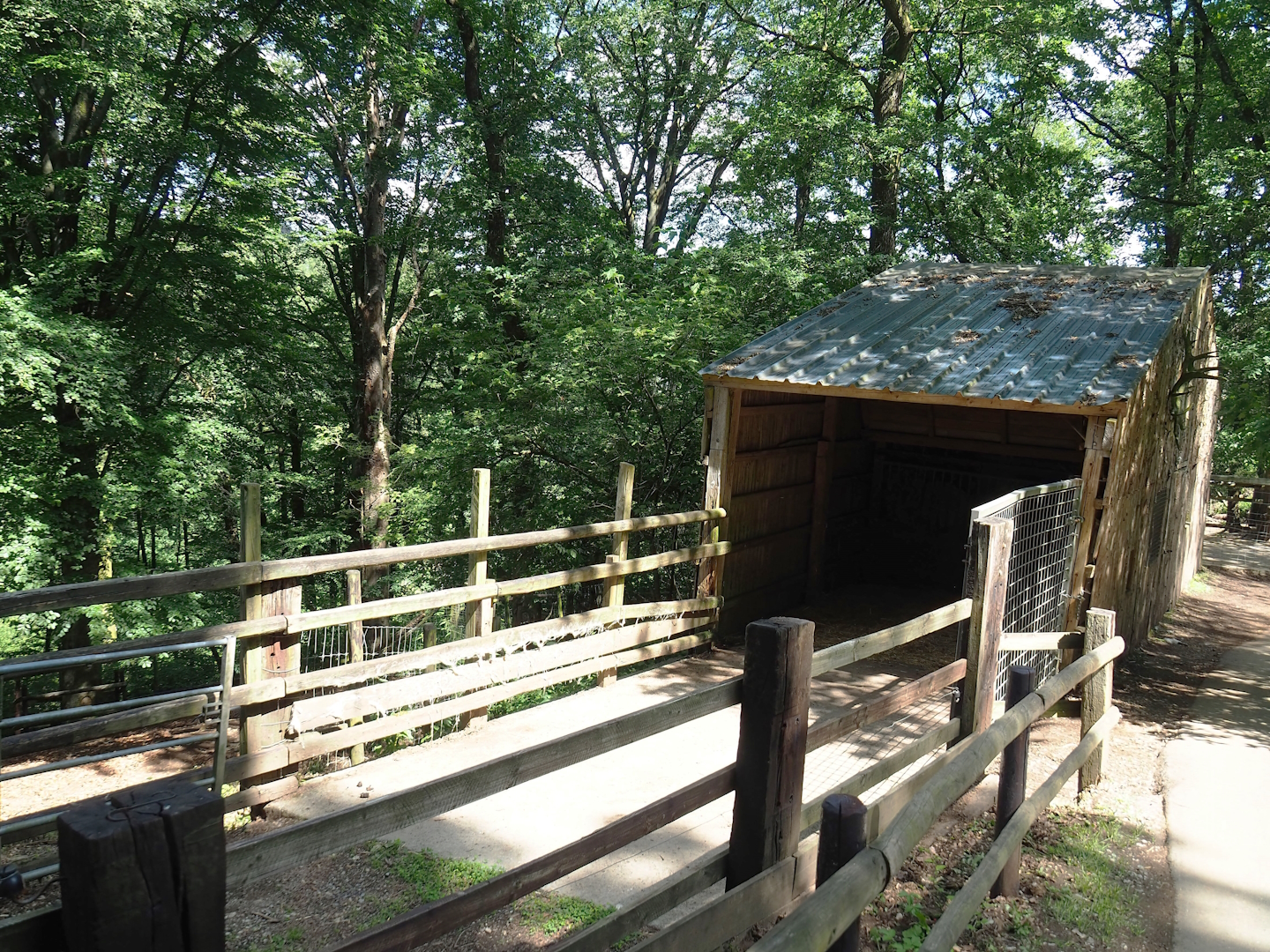 Rocky Mountain goat shelter and holding paddock, 2023-06-24