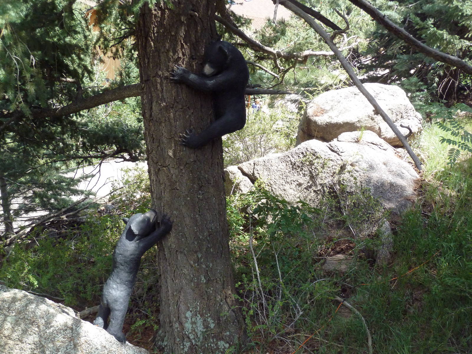 Rocky Mountain Wild - Bear Cub Statues
