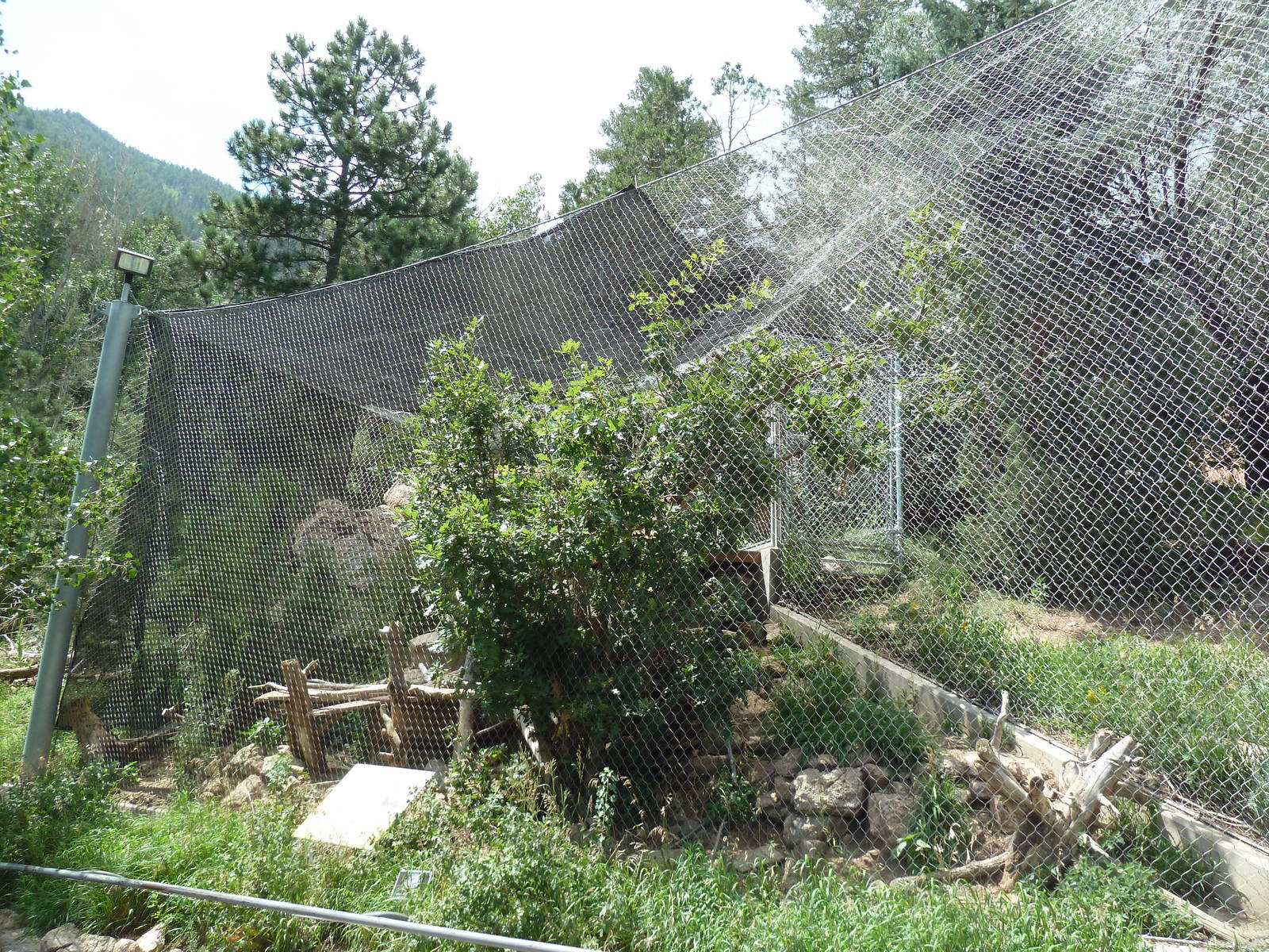 Rocky Mountain Wild - Canadian Lynx Exhibit