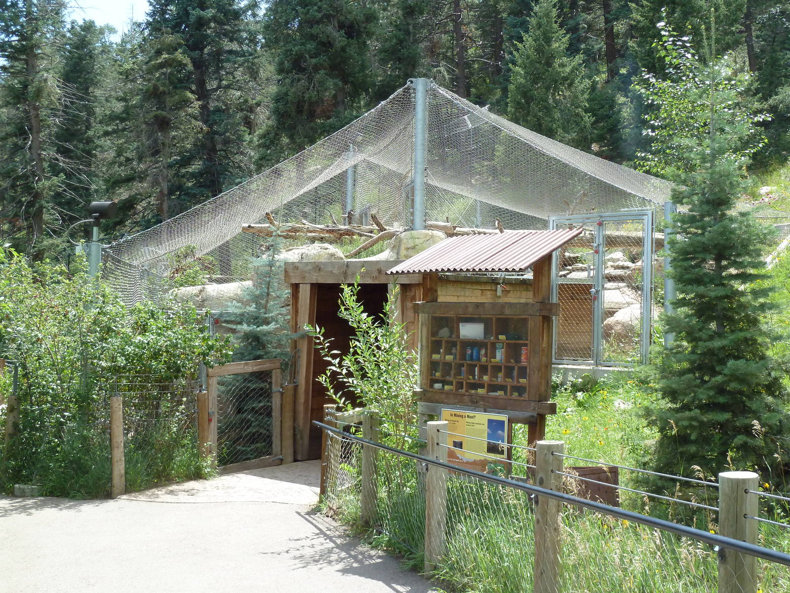Rocky Mountain Wild - Cougar Exhibit