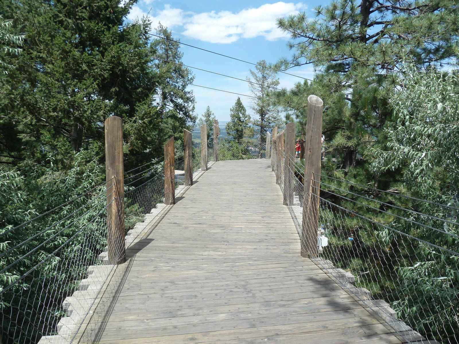 Rocky Mountain Wild - Grizzly Bear Exhibit Boardwalk