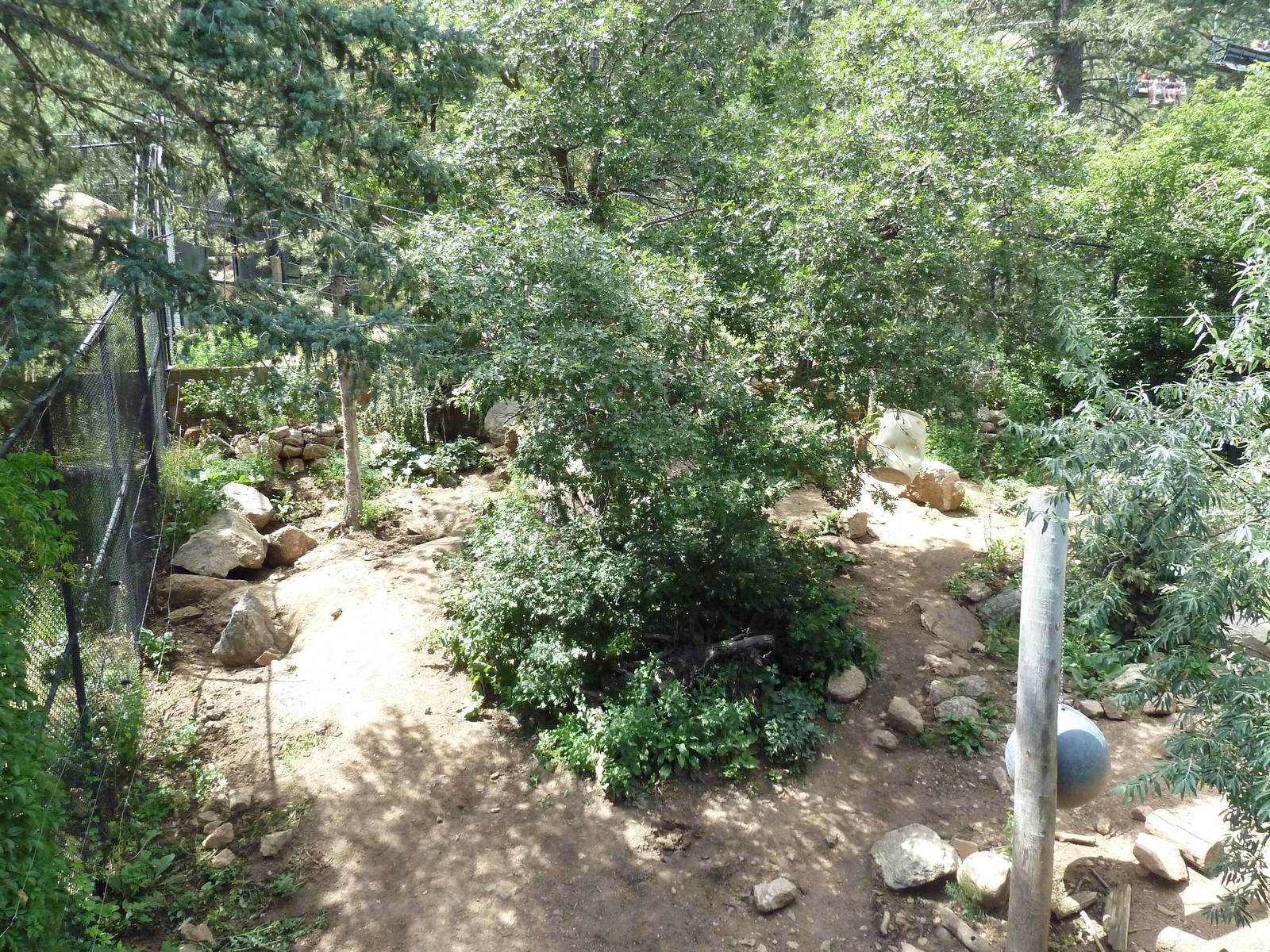 Rocky Mountain Wild - Grizzly Bear Exhibit