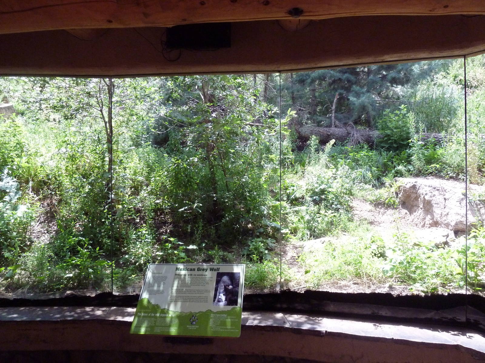 Rocky Mountain Wild - Mexican Grey Wolf Exhibit