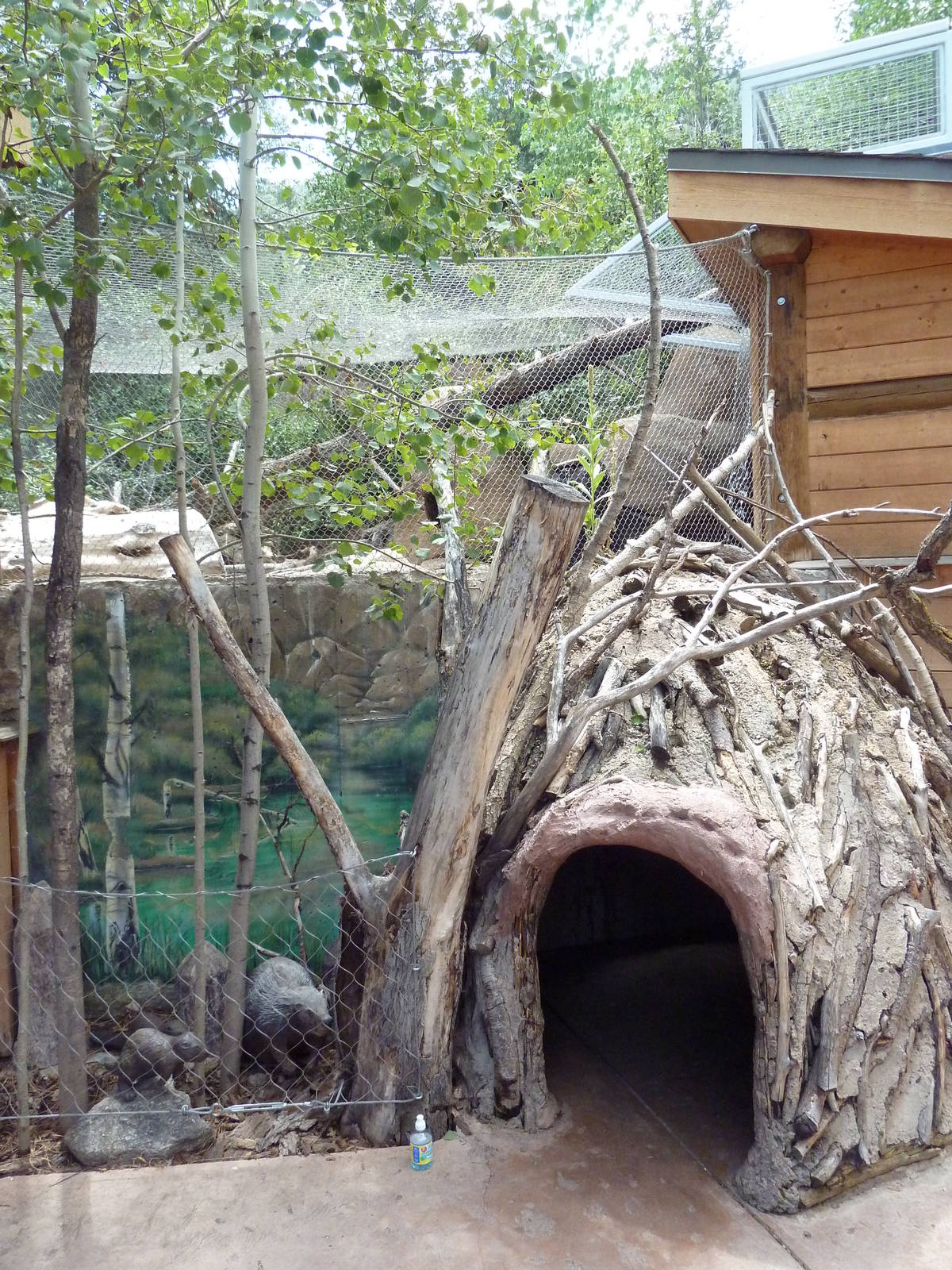 Rocky Mountain Wild - North American River Otter Exhibit