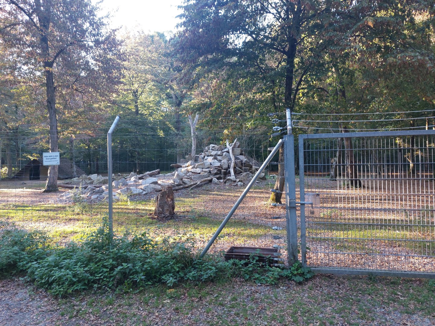 Rocky Mountains goat paddock