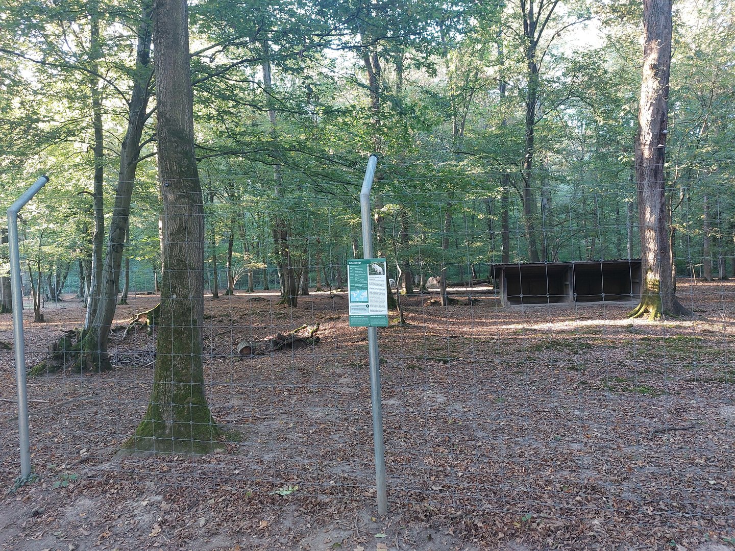 Rocky Mountains goat paddock