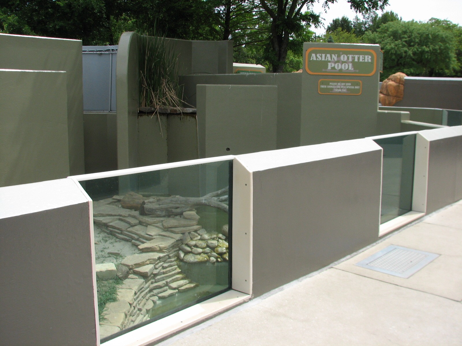 Rocky Point Preserve - Asian Small-clawed Otter Exhibit