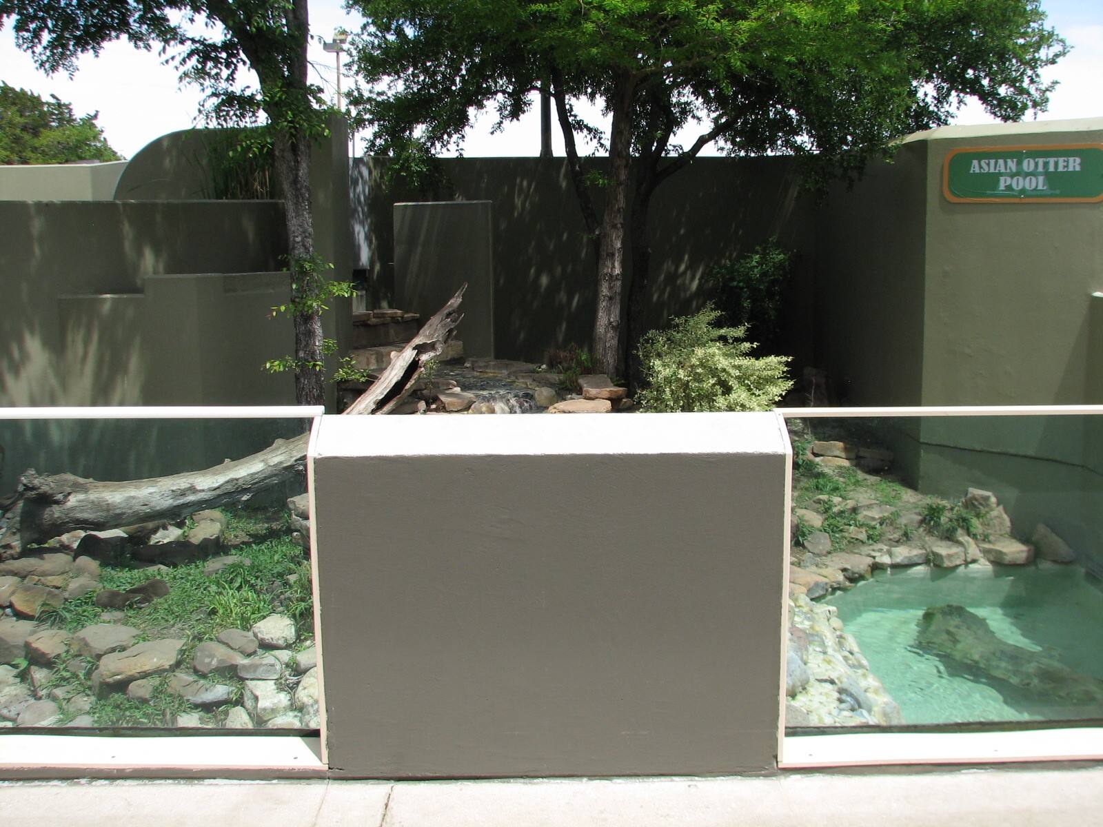 Rocky Point Preserve - Asian Small-clawed Otter Exhibit