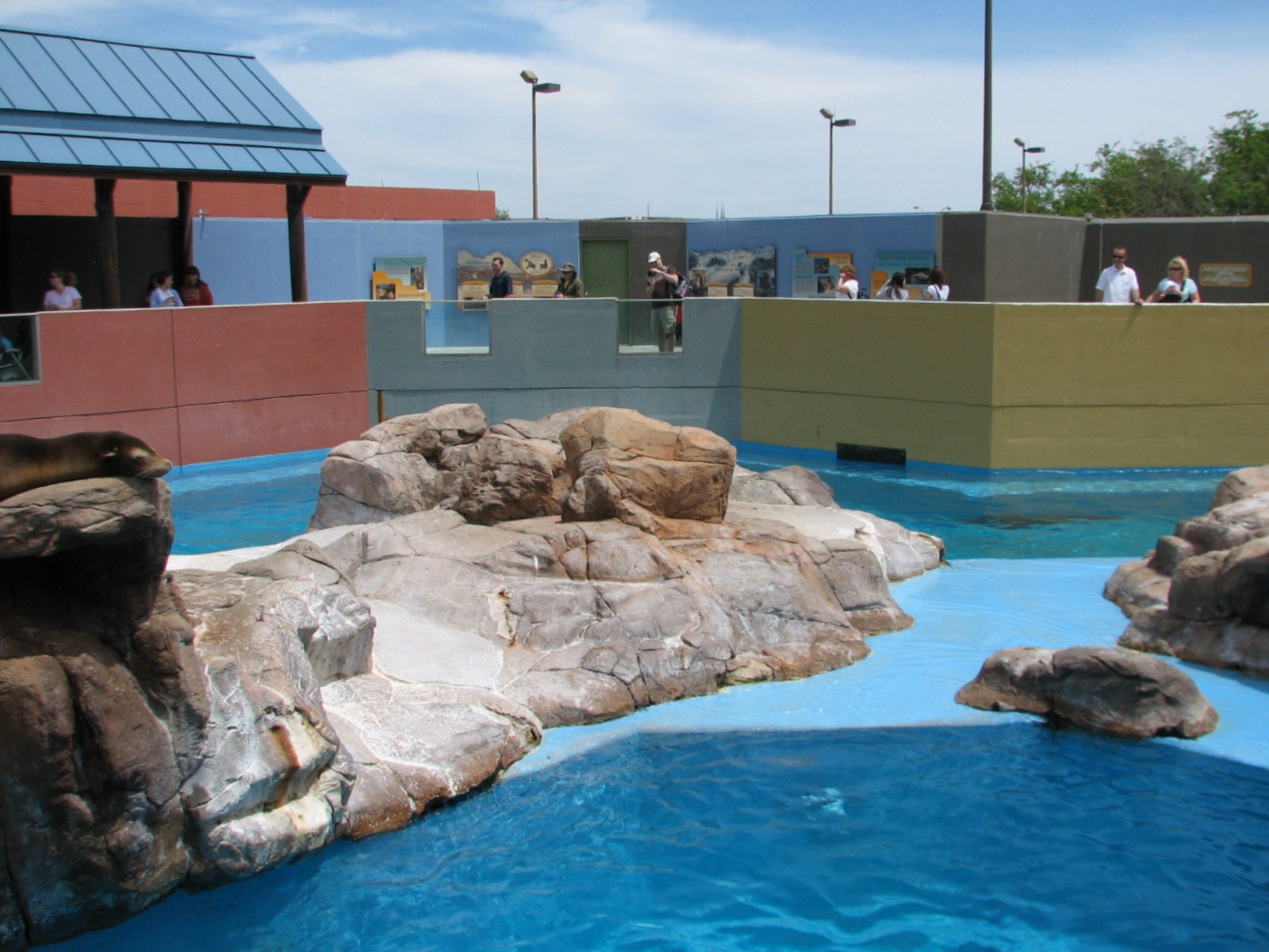 Rocky Point Preserve - California Sea Lion and Harbor Seal Exhibit