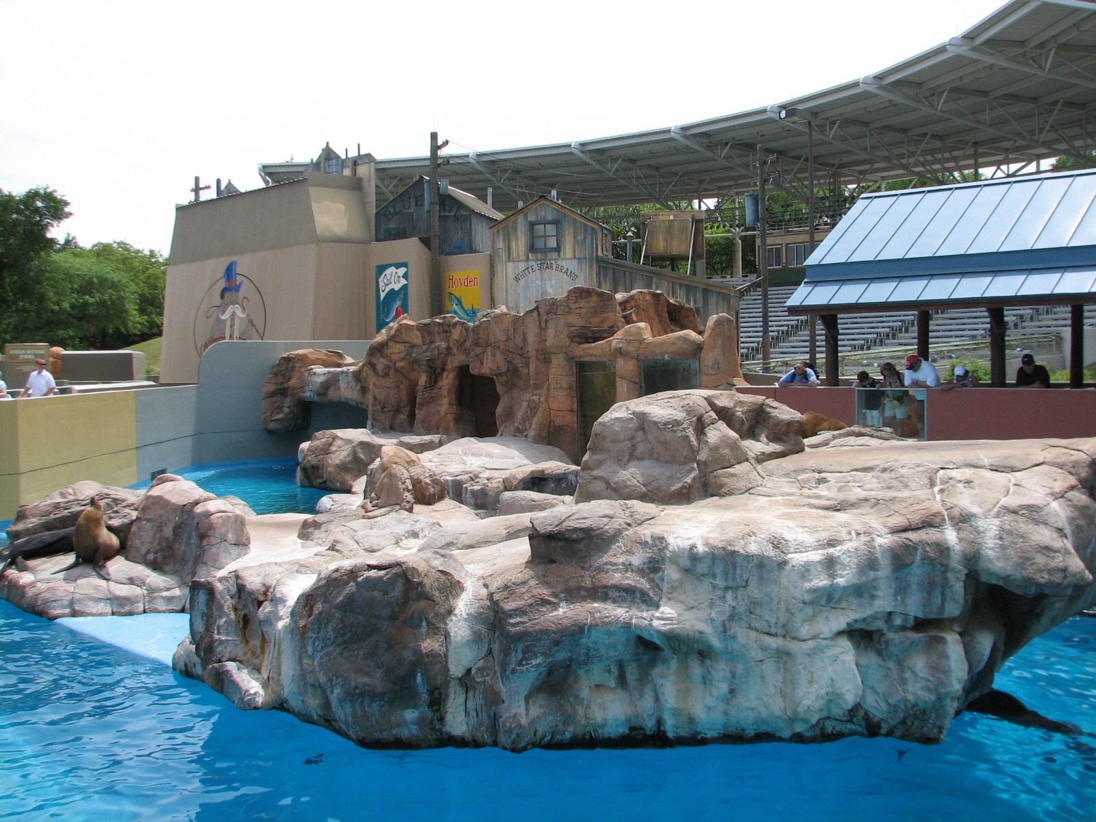 Rocky Point Preserve - California Sea Lion and Harbor Seal Exhibit