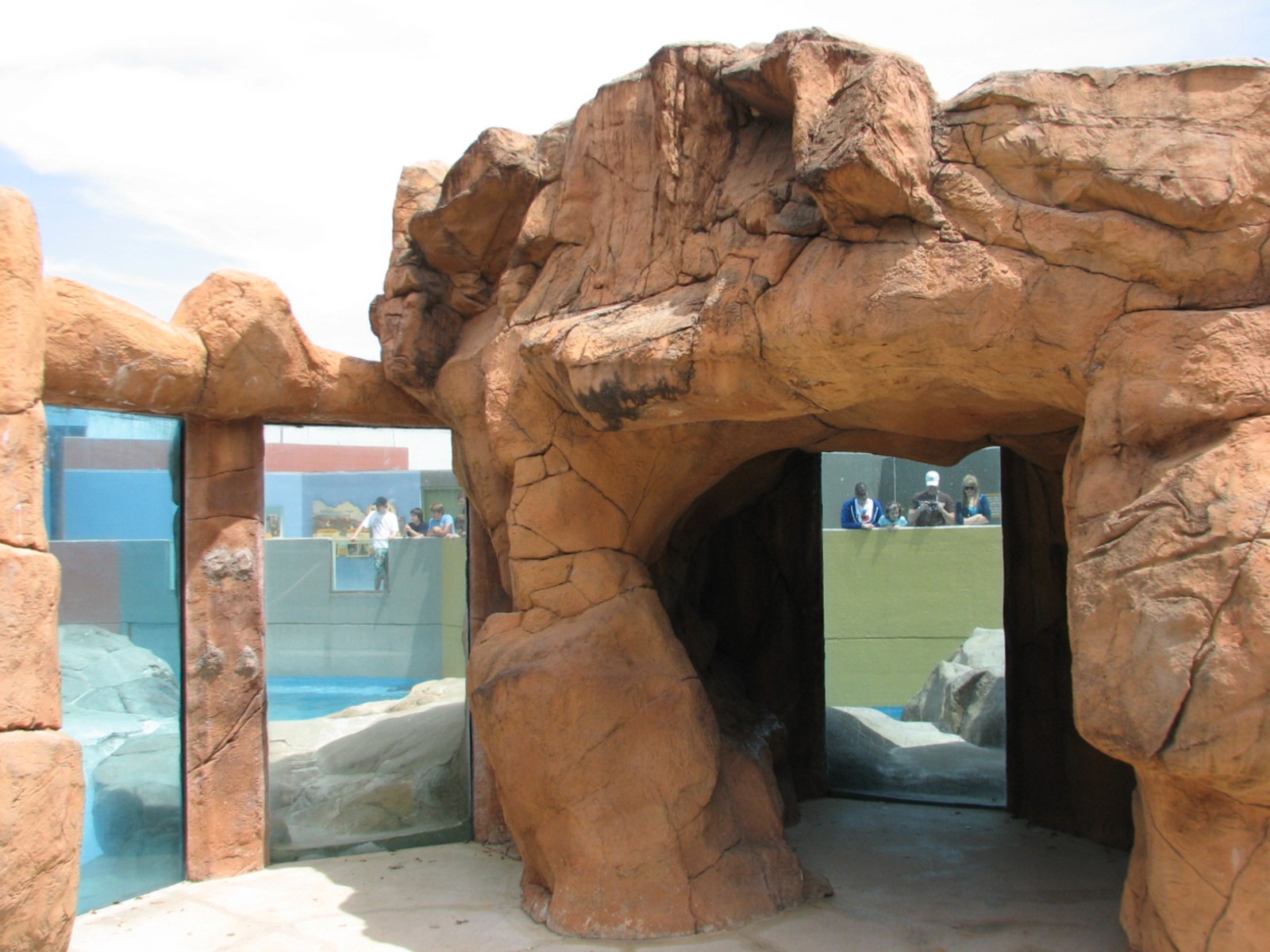 Rocky Point Preserve - California Sea Lion and Harbor Seal Exhibit