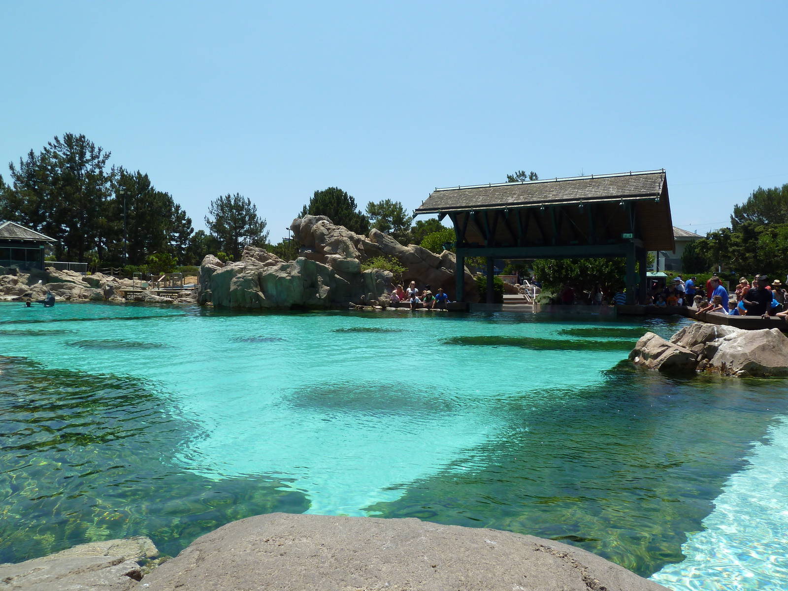 Rocky Point Preserve - Dolphin Exhibit