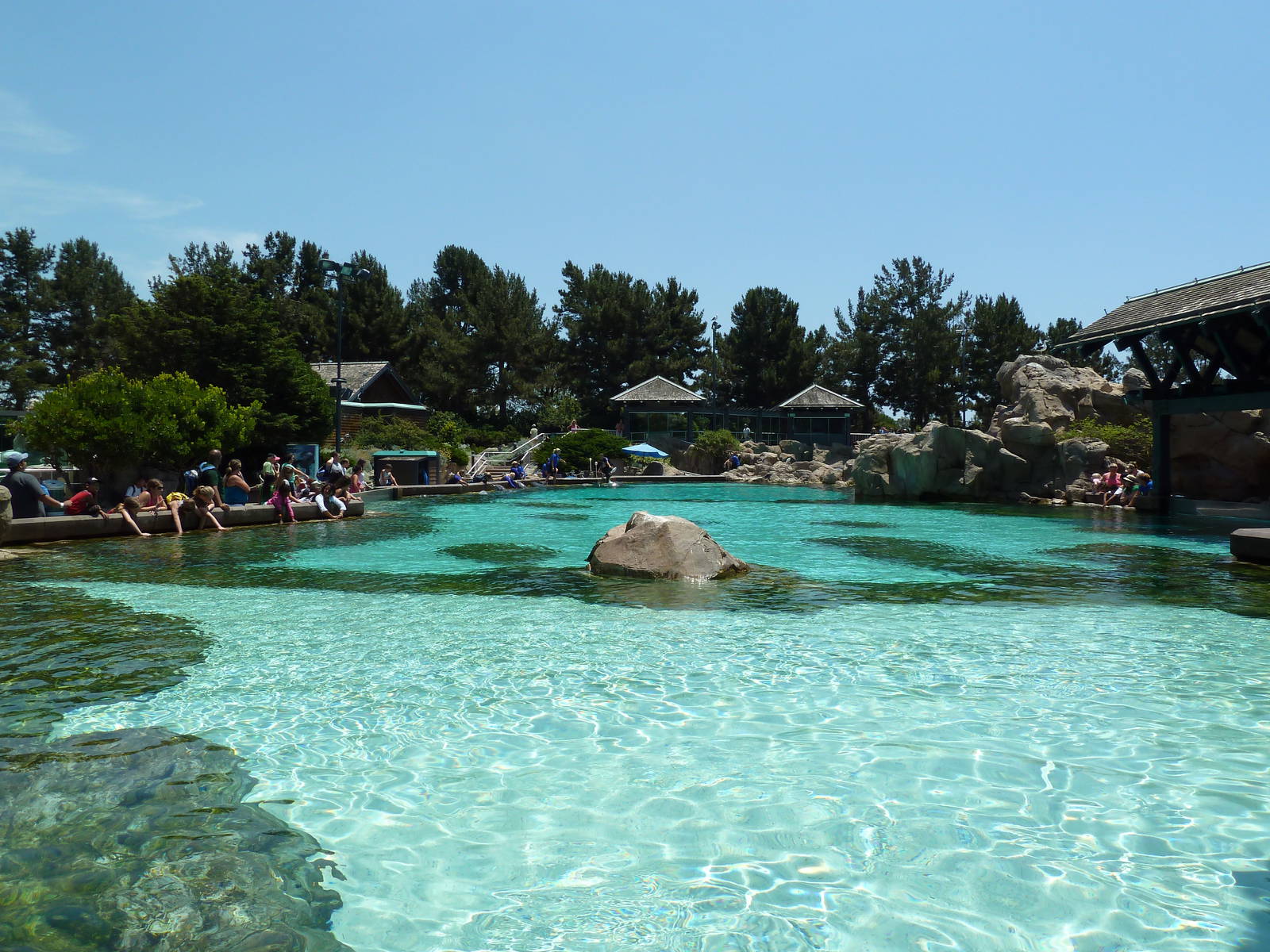 Rocky Point Preserve - Dolphin Exhibit
