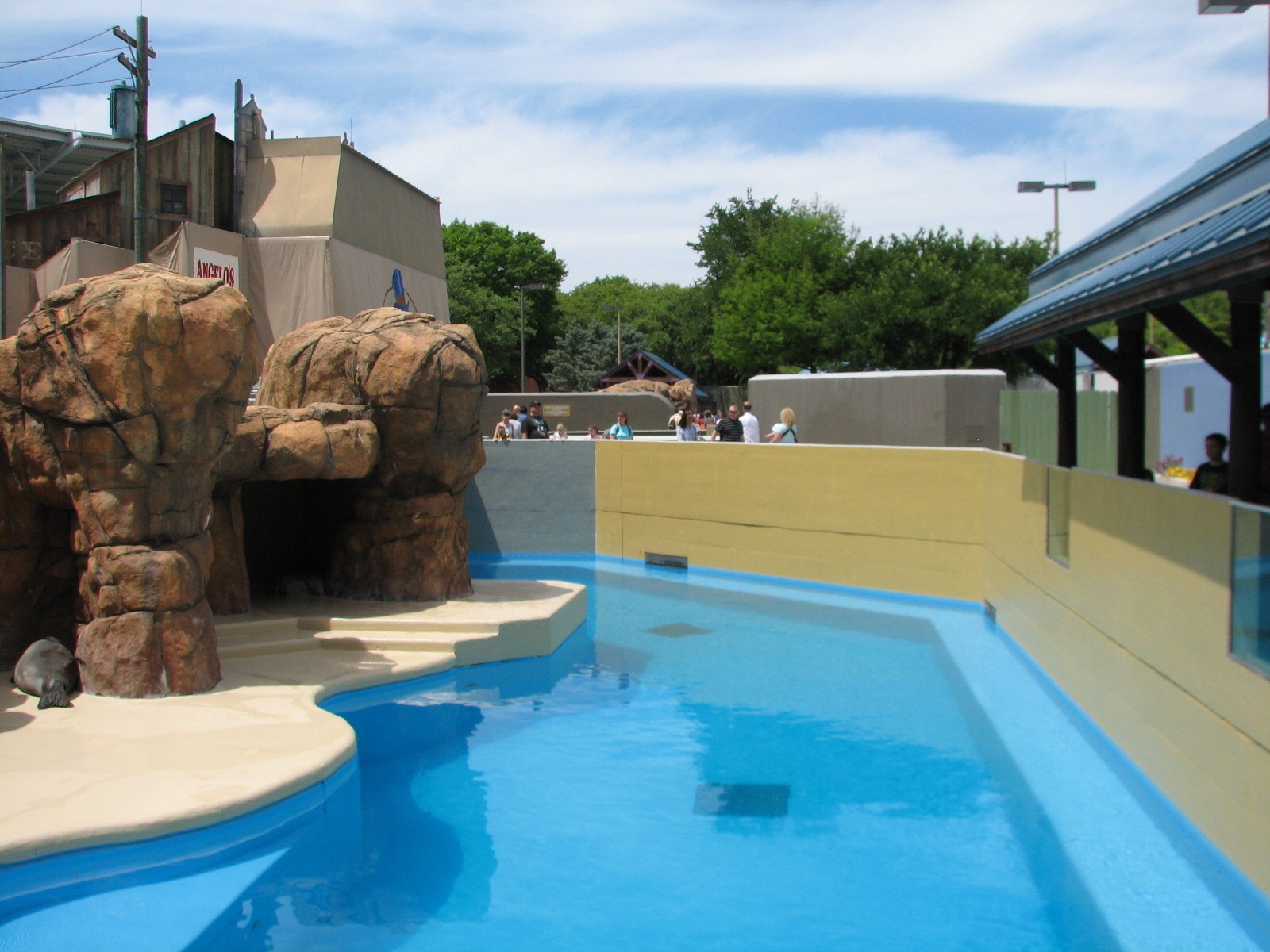Rocky Point Preserve - Hawaiian Monk Seal Exhibit