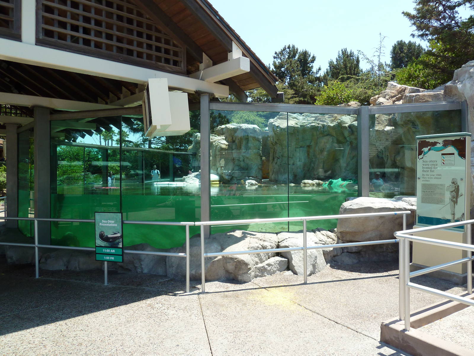 Rocky Point Preserve - Sea Otter Exhibit