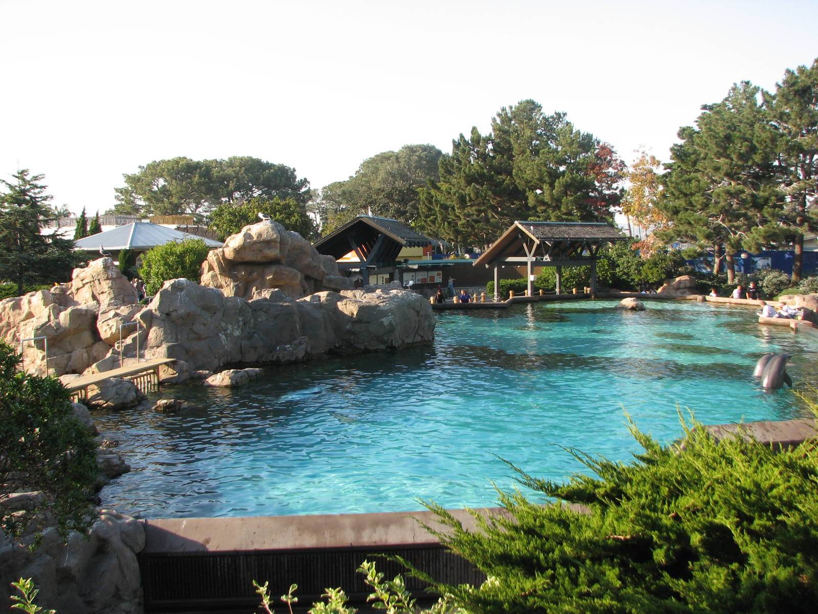 Rocky Point Preserve