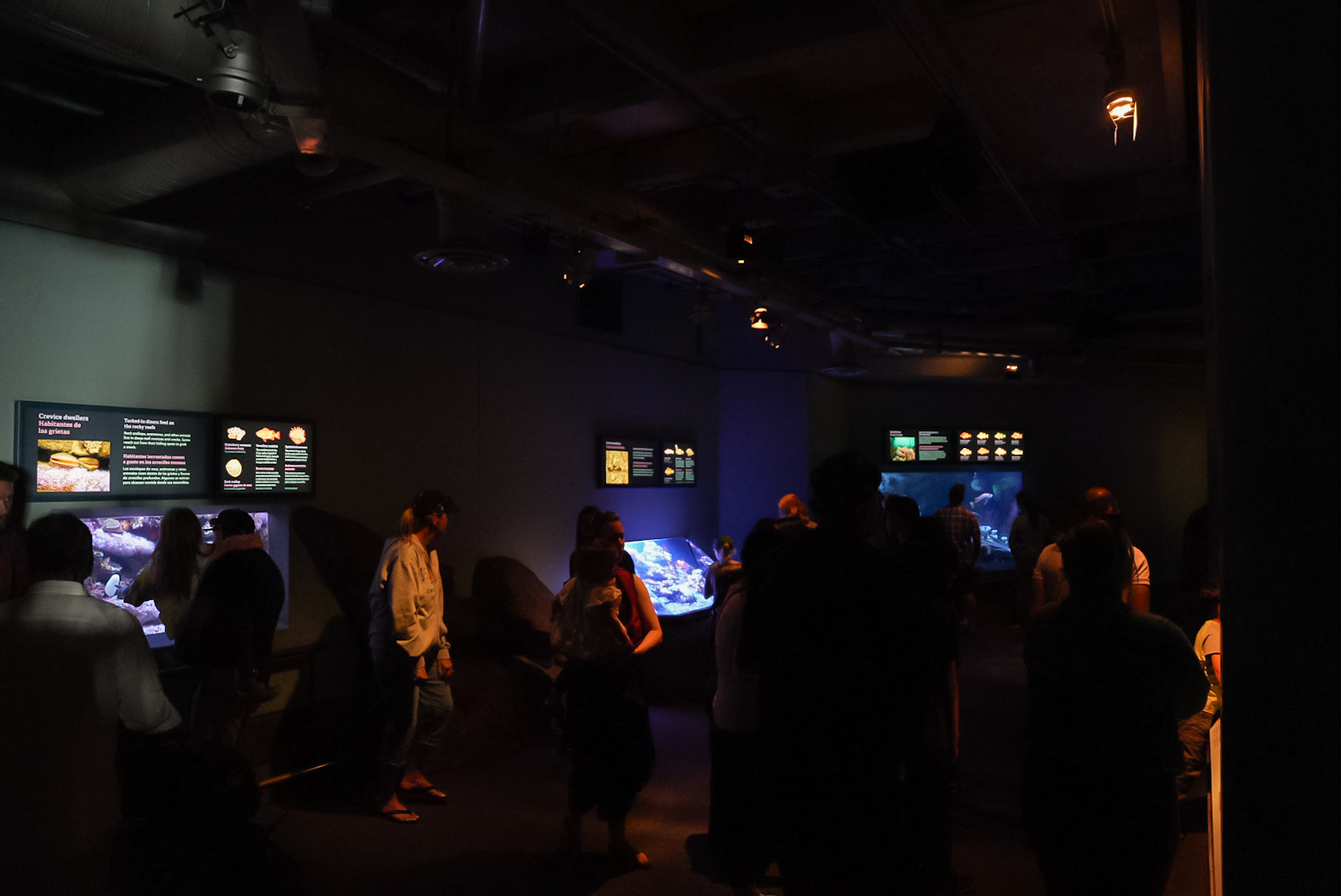 'Rocky Reef' smaller exhibits