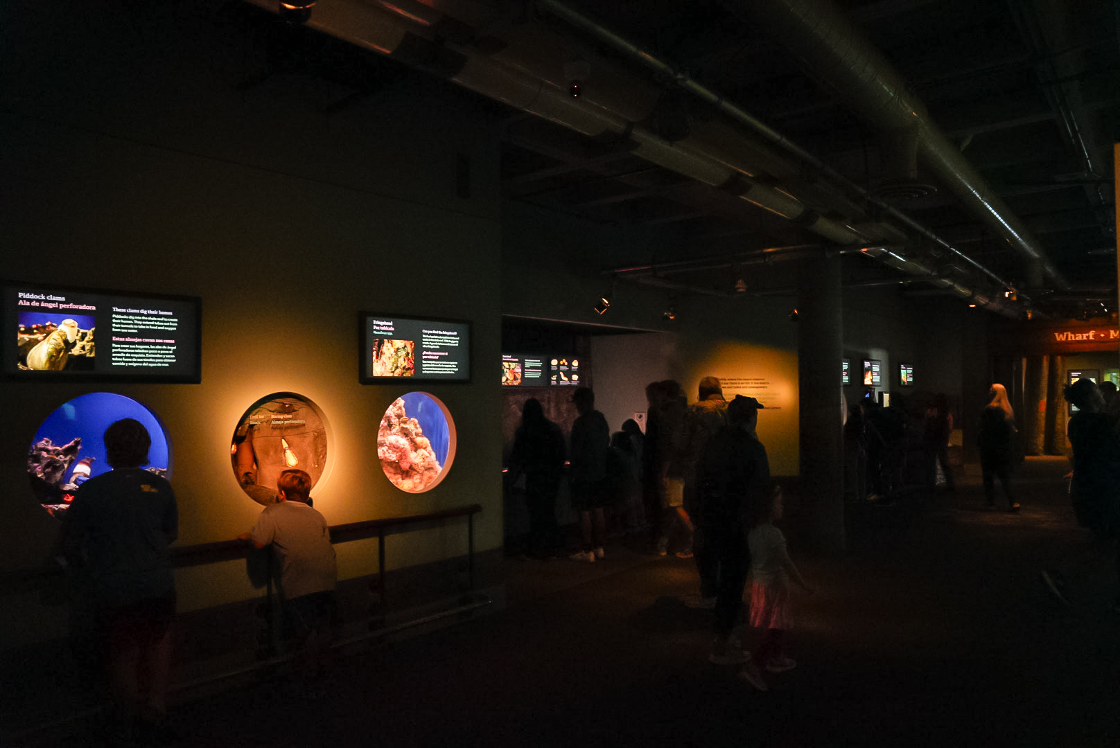 'Rocky Reef' smaller exhibits