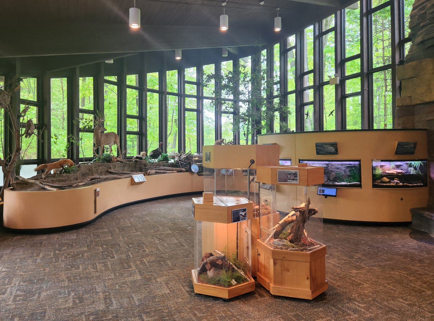 Rocky River NC - Exhibit hall