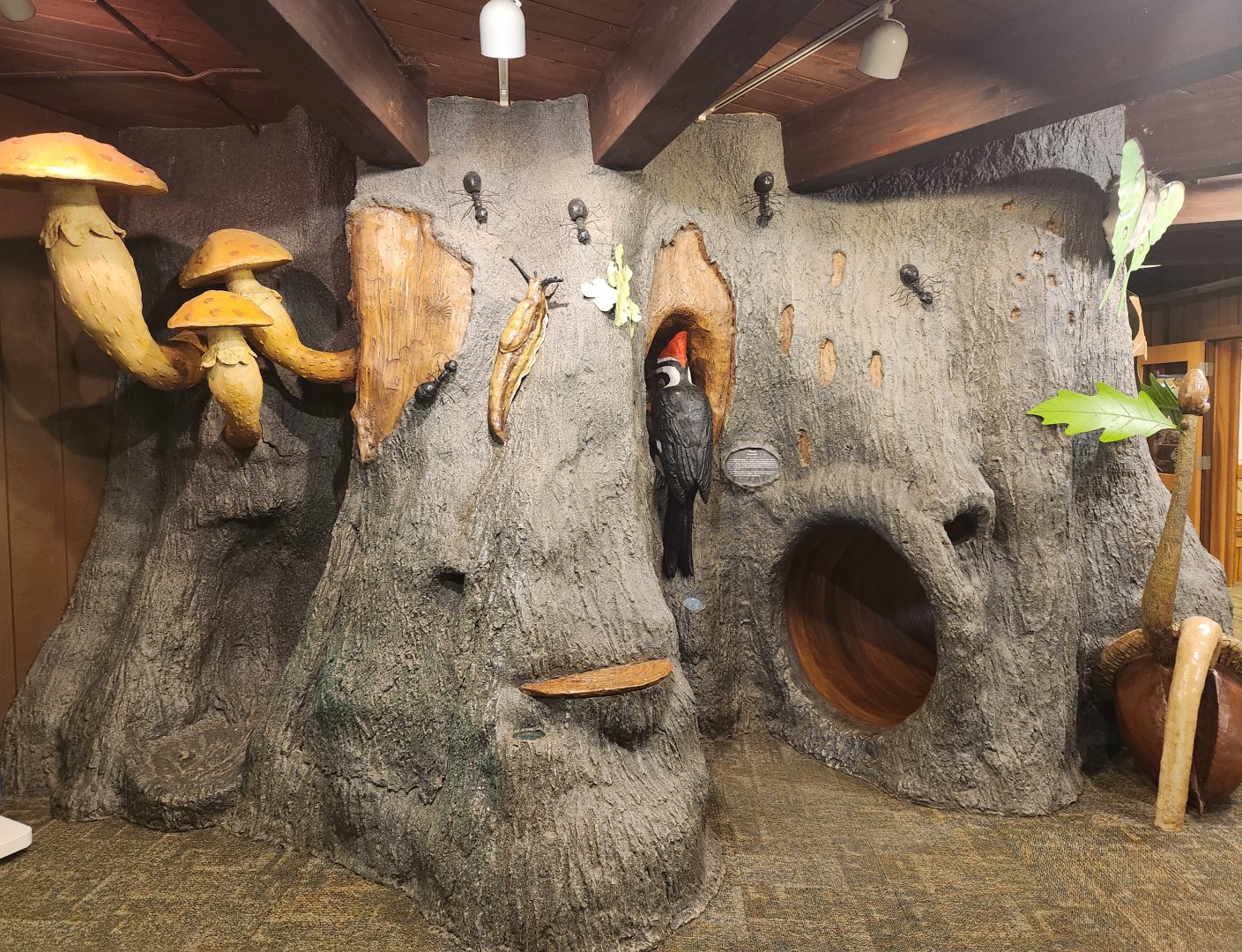 Rocky River NC - Exhibit tree