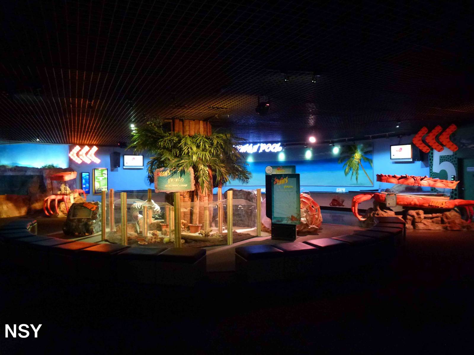 Rocky shore area, June 2013.