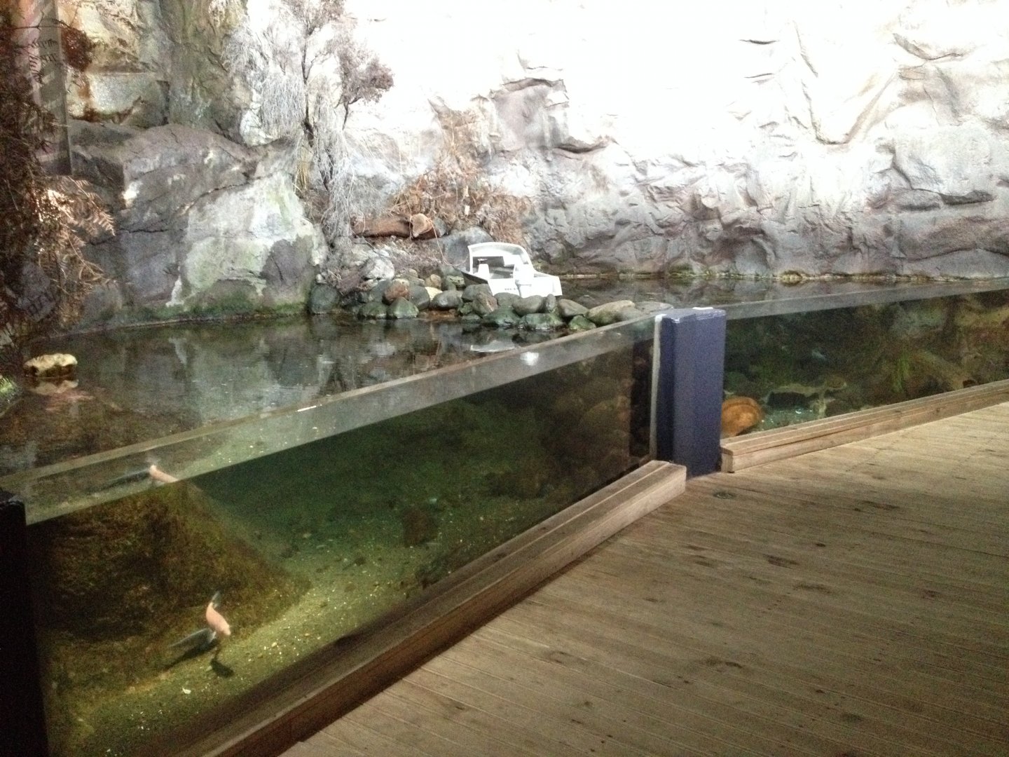 Rocky Shore tank (unsigned)