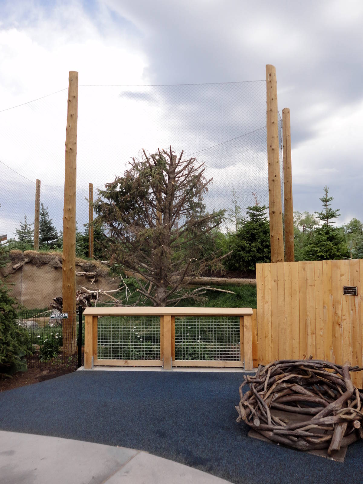 Rocky Shores - Bald Eagle Exhibit