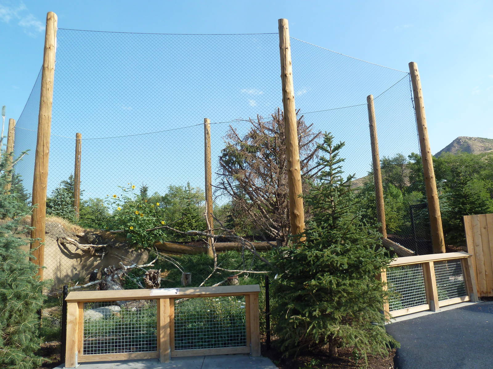 Rocky Shores - Bald Eagle Exhibit