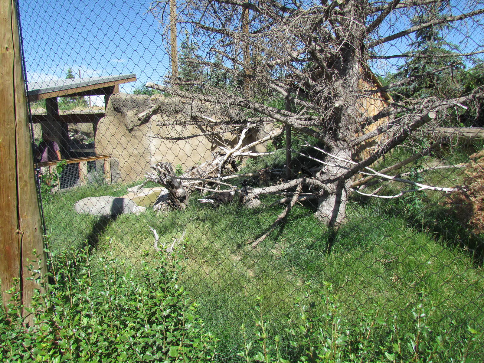Rocky Shores - Bald Eagle Exhibit
