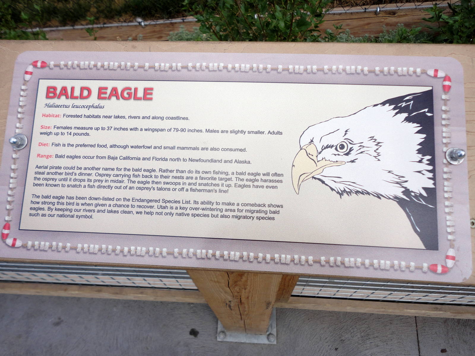 Rocky Shores - Bald Eagle Sign