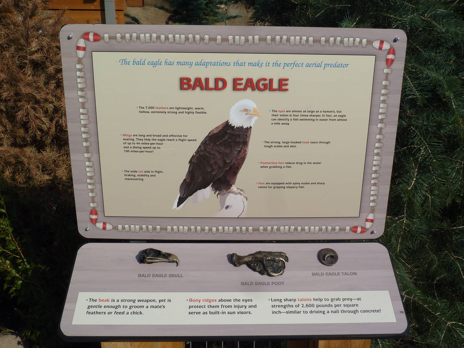 Rocky Shores - Bald Eagle Sign