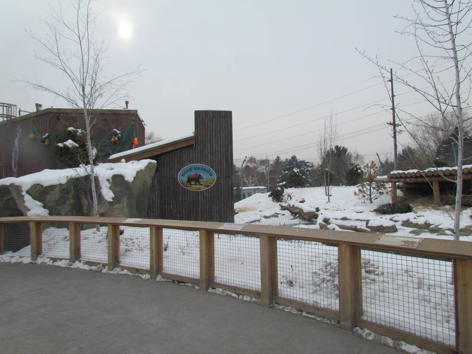 Rocky Shores - Bear Meadow