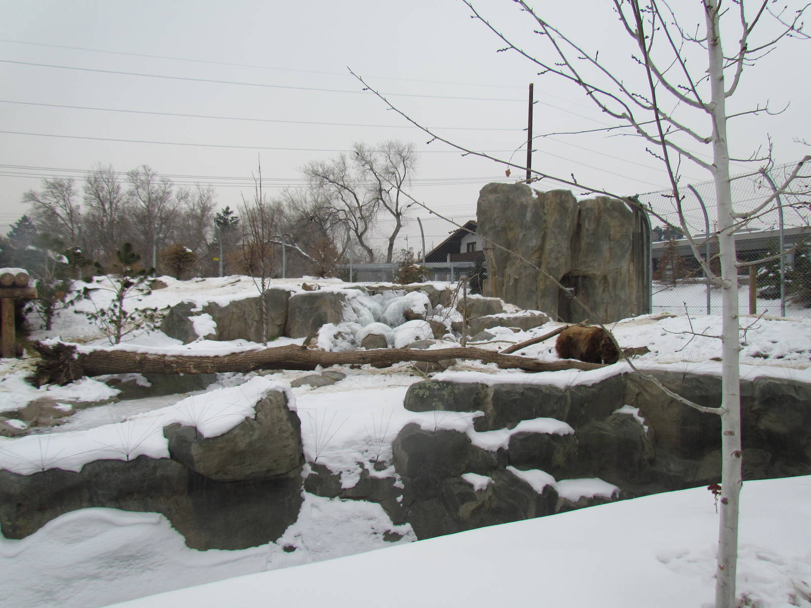Rocky Shores - Bear Meadow