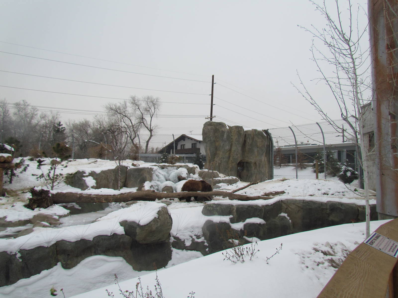 Rocky Shores - Bear Meadow