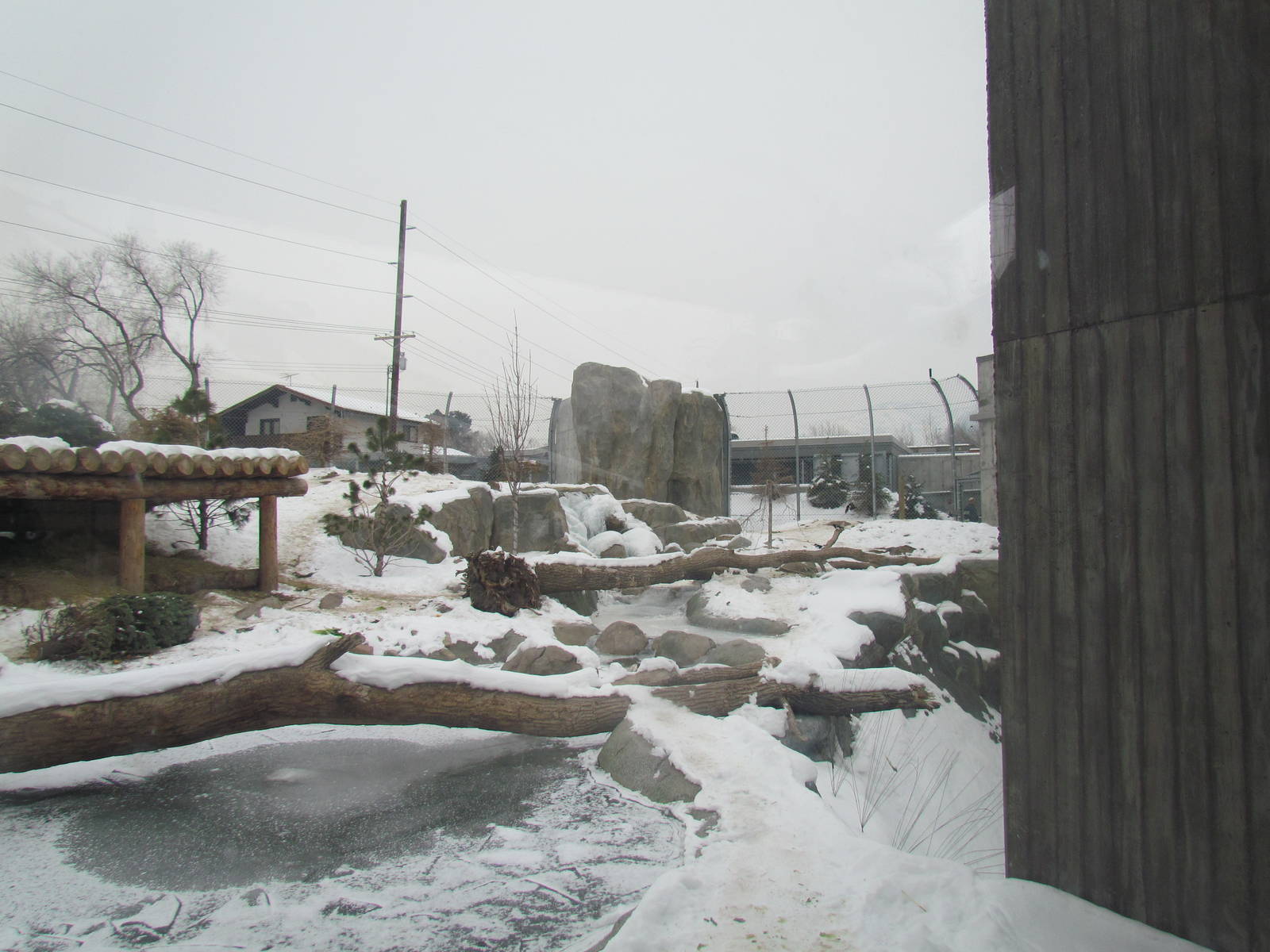 Rocky Shores - Bear Meadow