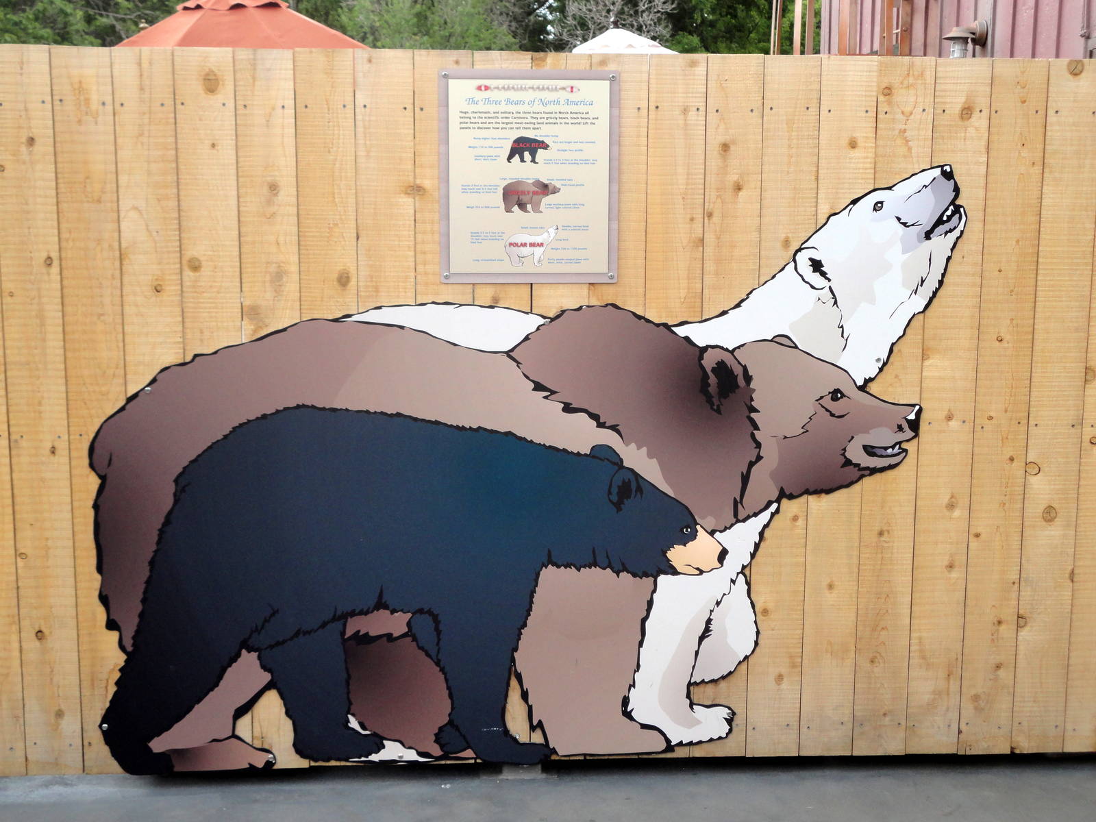 Rocky Shores - Bear Size Graphic