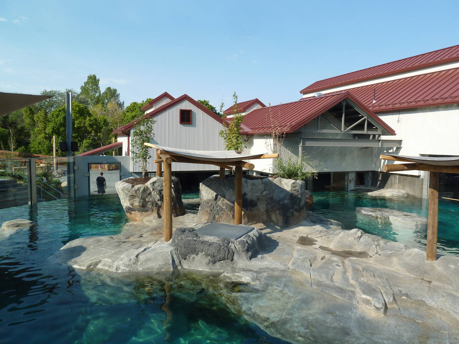 Rocky Shores - California Sea Lion/Harbour Seal Exhibit
