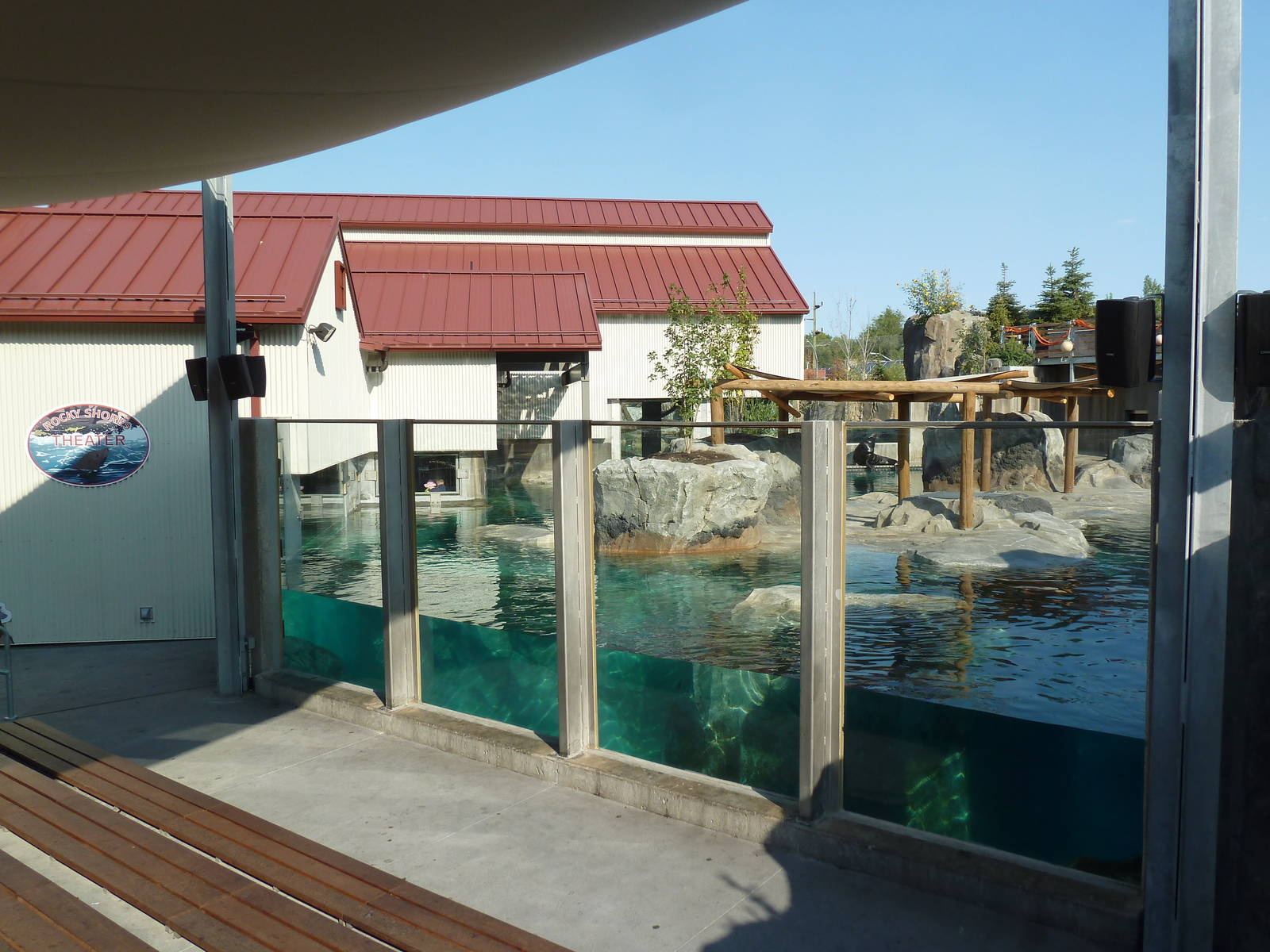 Rocky Shores - California Sea Lion/Harbour Seal Exhibit