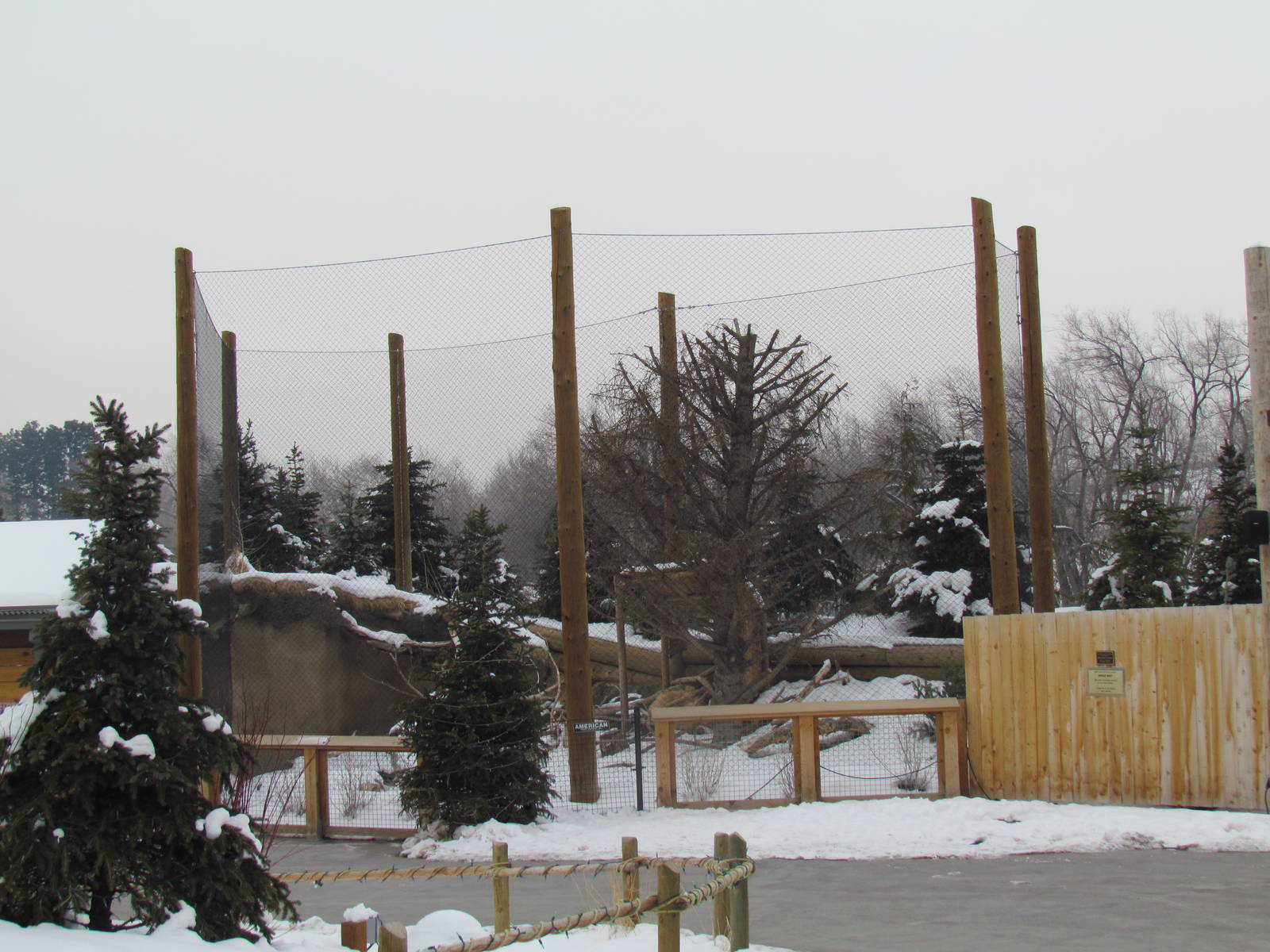 Rocky Shores - Eagle Exhibit