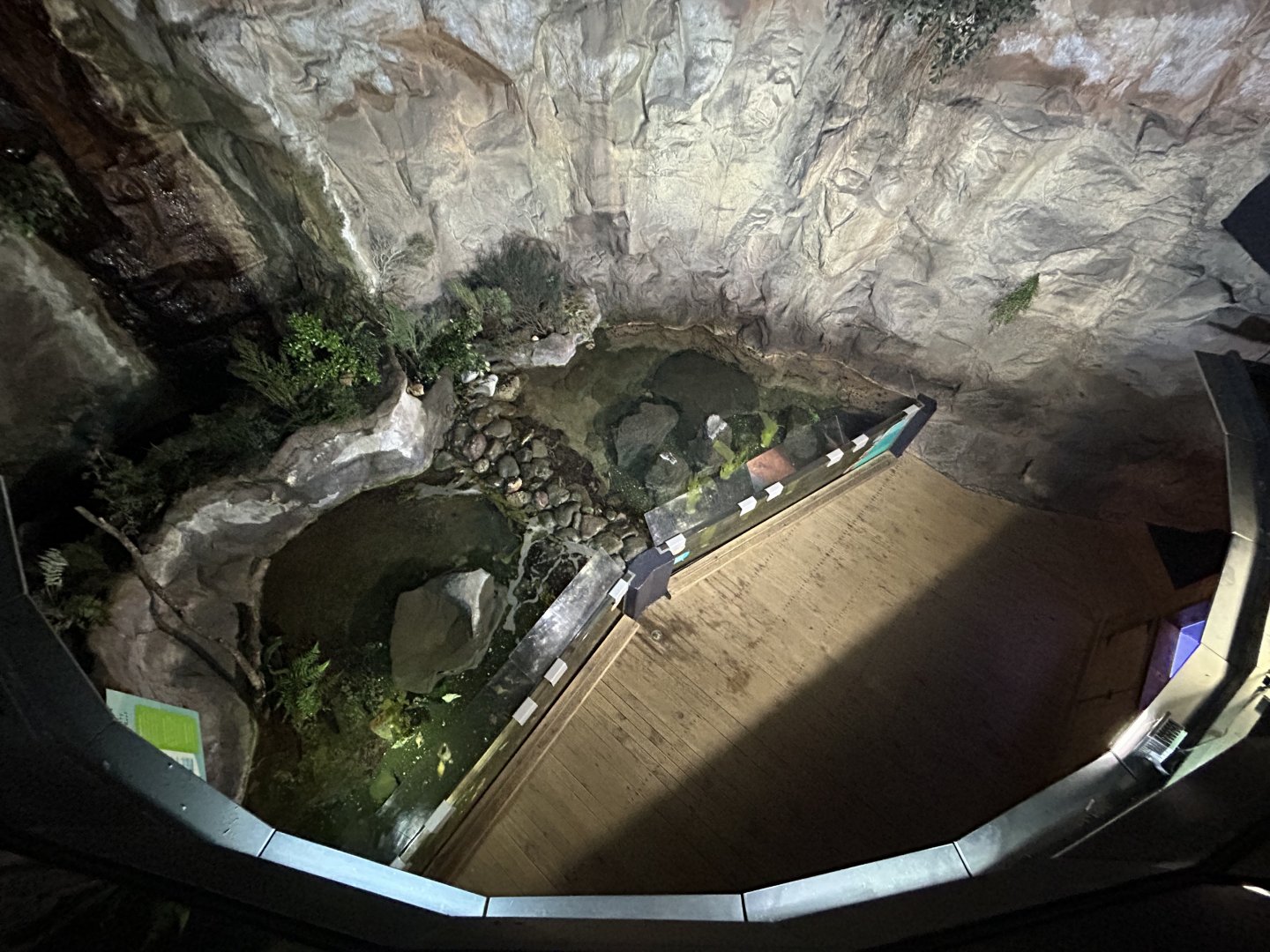 Rocky Shores Exhibit