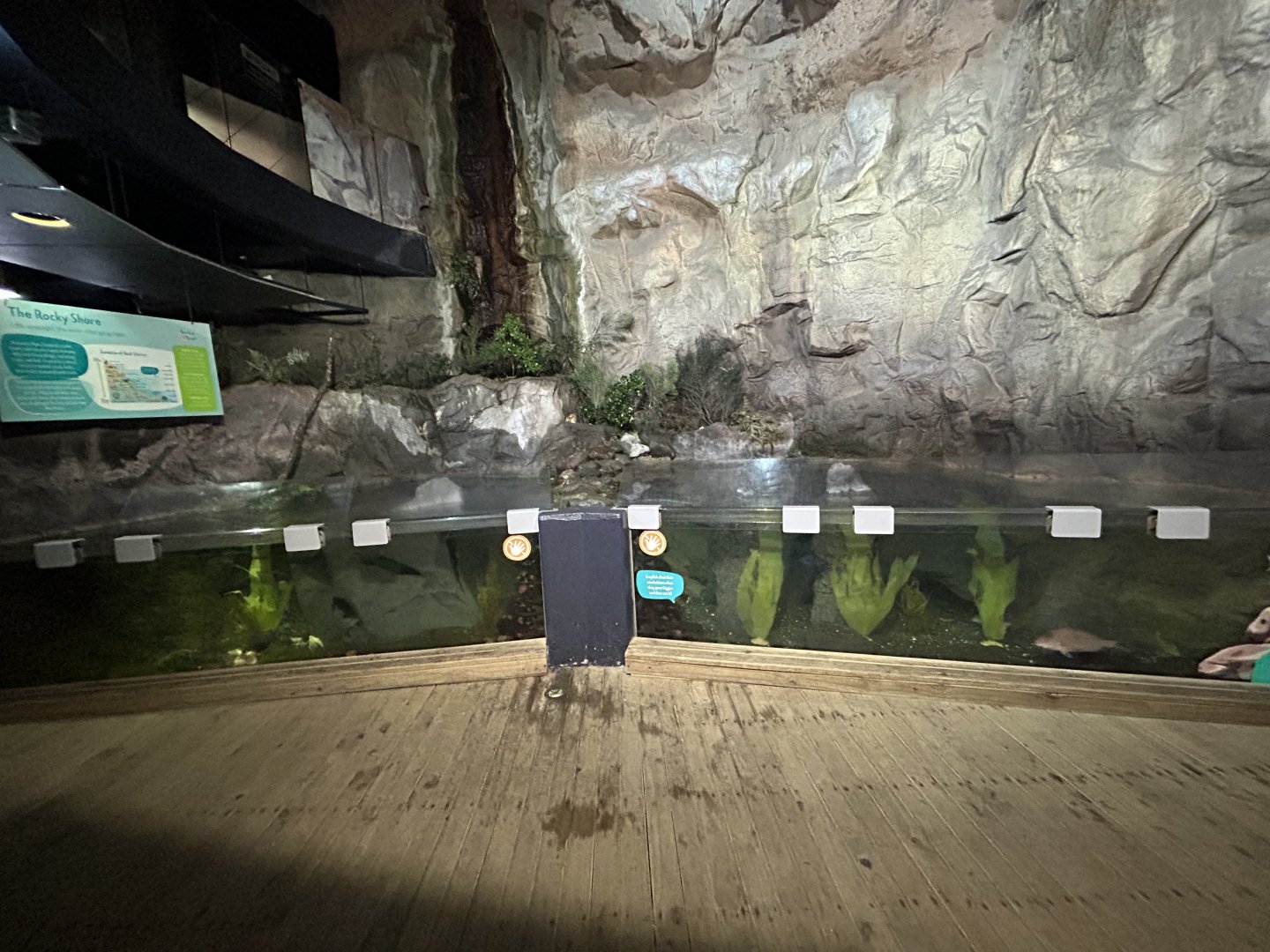 Rocky Shores Exhibit