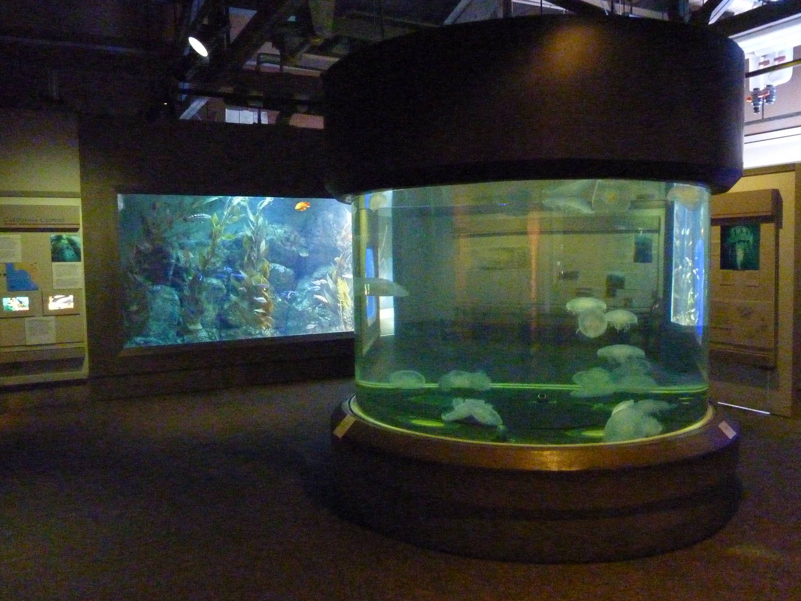 Rocky Shores Exhibits