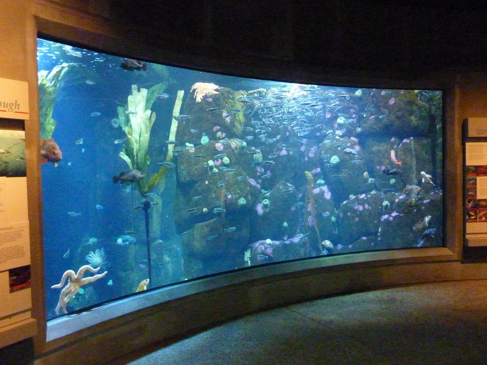 Rocky Shores Exhibits